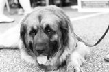 thumbnails/133-EB3A1274.webp.small.jpeg