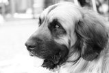 thumbnails/134-EB3A1280.webp.small.jpeg