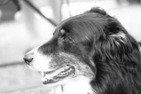 thumbnails/150-EB3A1329.webp.small.jpeg