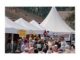 thumbnails/002-Au alentours de la salle Tom Morel,Thorens Glieres Mai 2025.webp.small.jpeg
