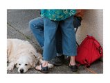thumbnails/053-nommer 29, avant la conférence. Rassemblent des Glieres,Thorens Glieres Mai 2025.webp.small.jpeg